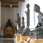 Lots of Buddhas